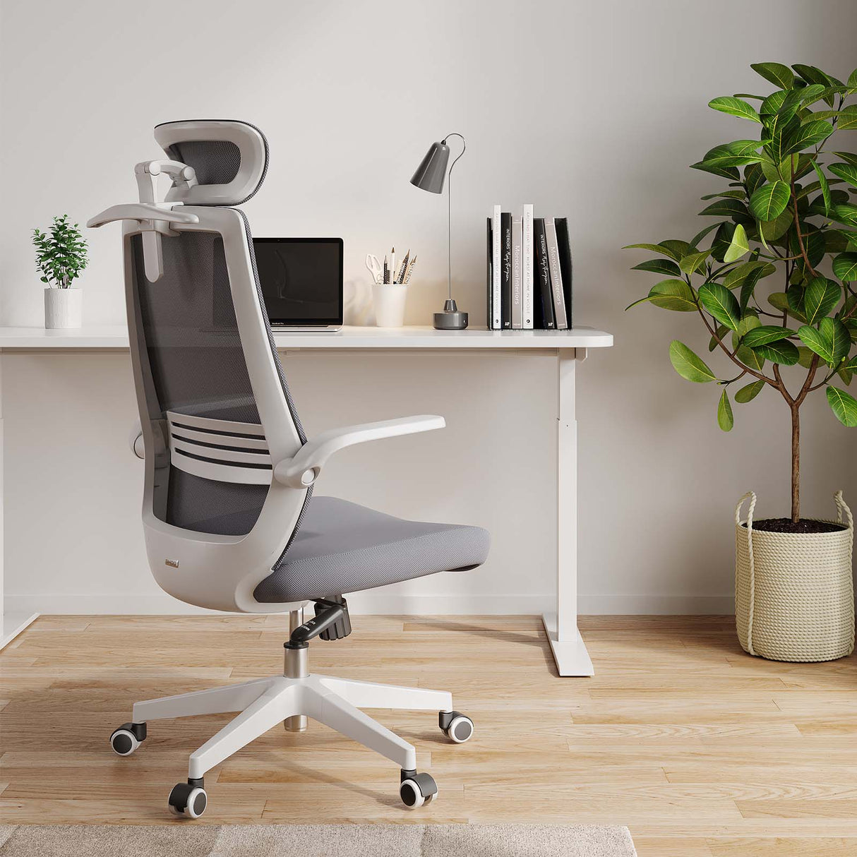 كرسي مكتب مريح من سيهو M76A مع دعم للفقرات القطنية