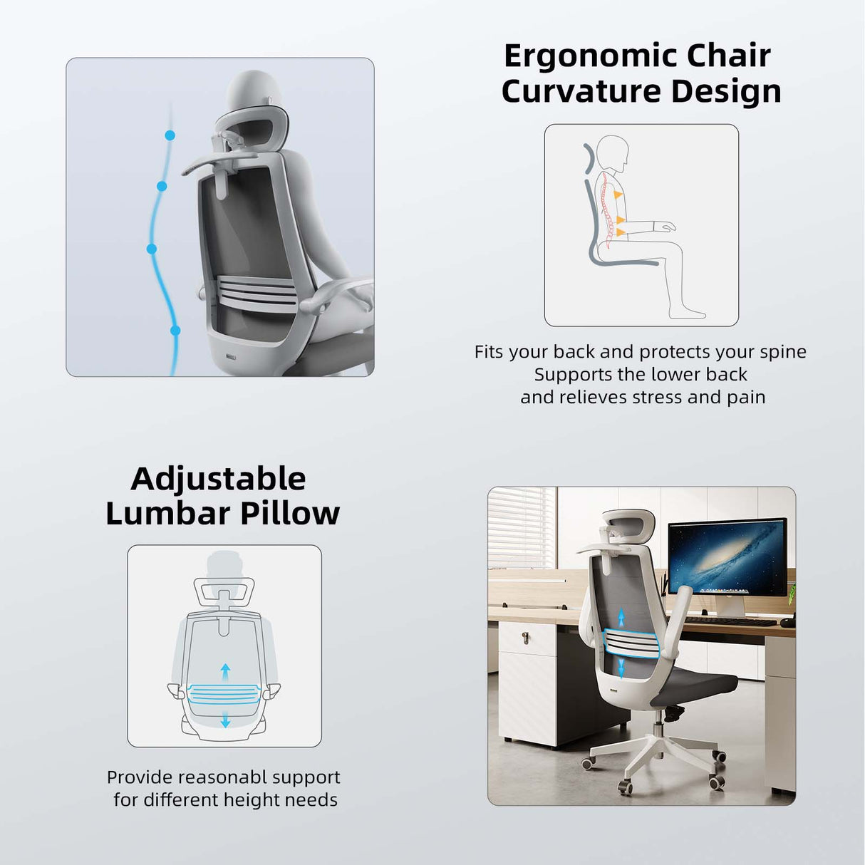 كرسي مكتب مريح من سيهو M76A مع دعم للفقرات القطنية