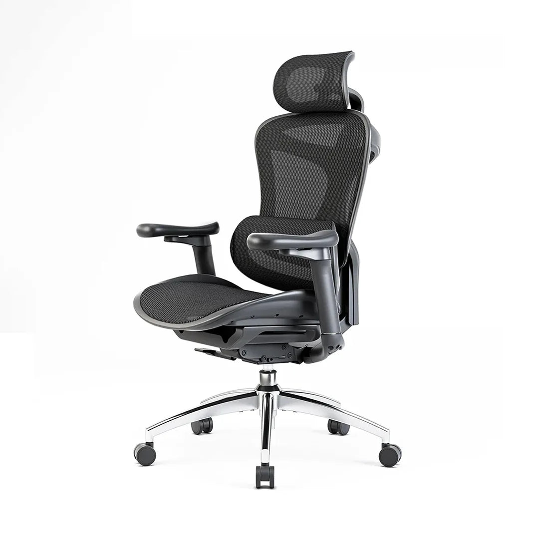 SIHOO Doro C300 Ergonomic Office Chair