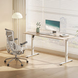 SIHOO D03 Electric Adjustable Standing Desk