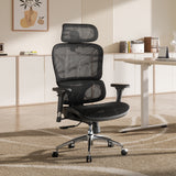 SIHOO M56 Ergonomic Office Chair
