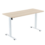 SIHOO D03 Electric Adjustable Standing Desk