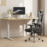SIHOO M56 Ergonomic Office Chair
