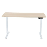 SIHOO D03 Electric Adjustable Standing Desk