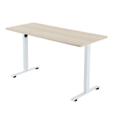 SIHOO D03 Electric Adjustable Standing Desk