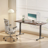 SIHOO D03 Electric Adjustable Standing Desk