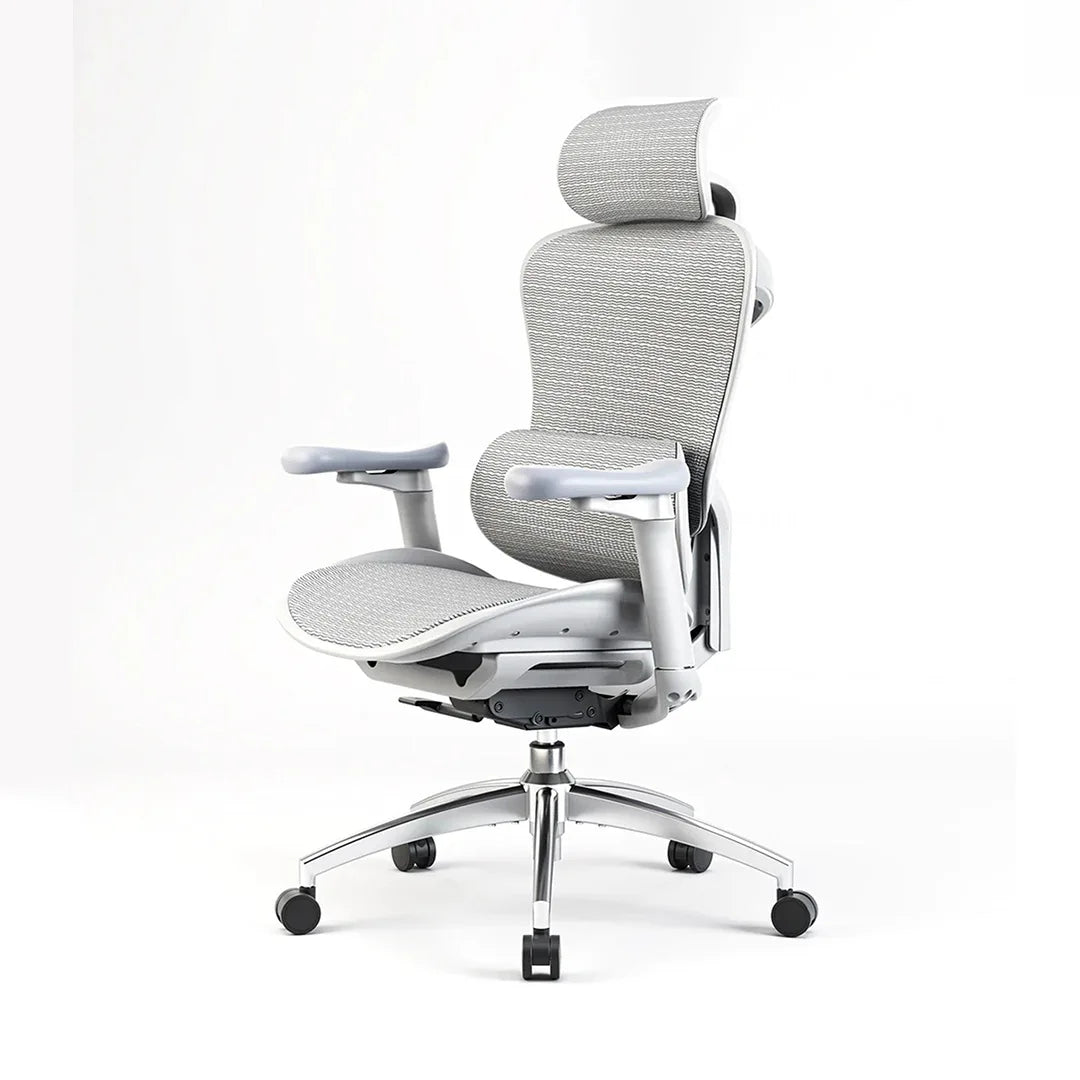 SIHOO Doro C300 Ergonomic Office Chair