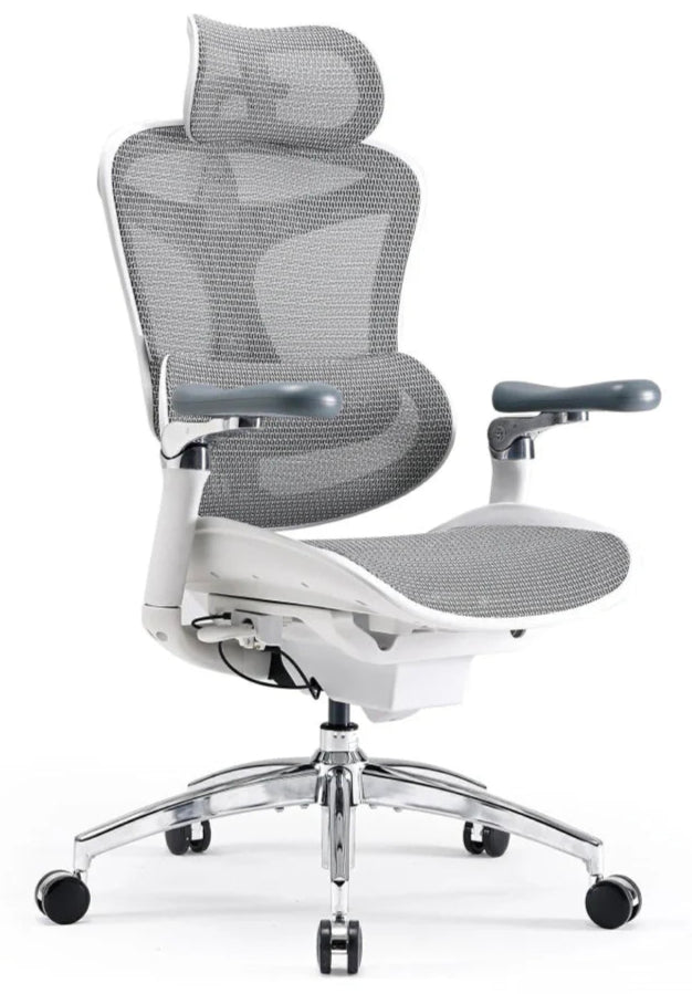 SIHOO Doro C300 Pro Ergonomic Office Chair with Adaptive Lumbar & Breathable Mesh