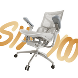 SIHOO S300 Office Chair with Lumbar Support for Back Pain Relief