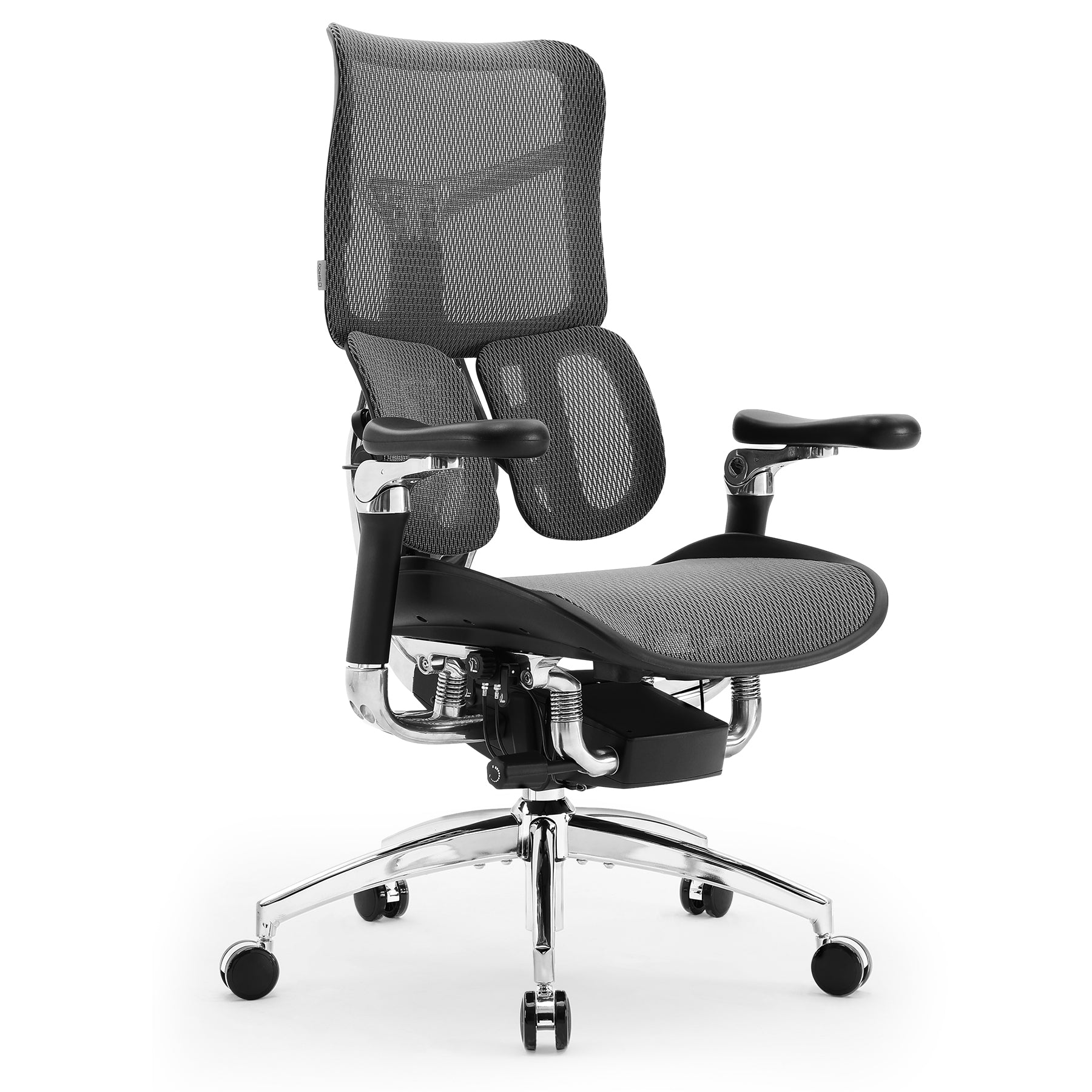 SIHOO S300 Office Chair with Lumbar Support for Back Pain Relief