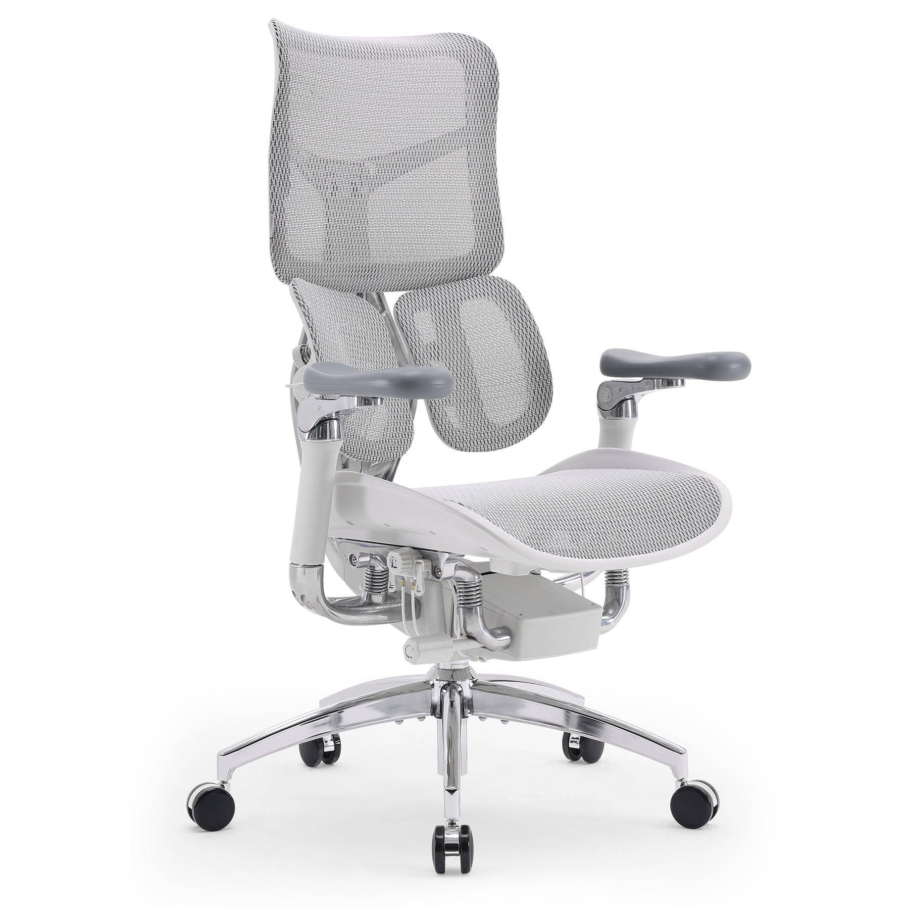 SIHOO S300 Office Chair with Lumbar Support for Back Pain Relief