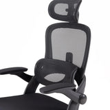SIHOO M102C Ergonomic Office Chair