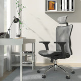 SIHOO M57 Classic Ergonomic Office Chair