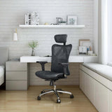 SIHOO M57 Classic Ergonomic Office Chair